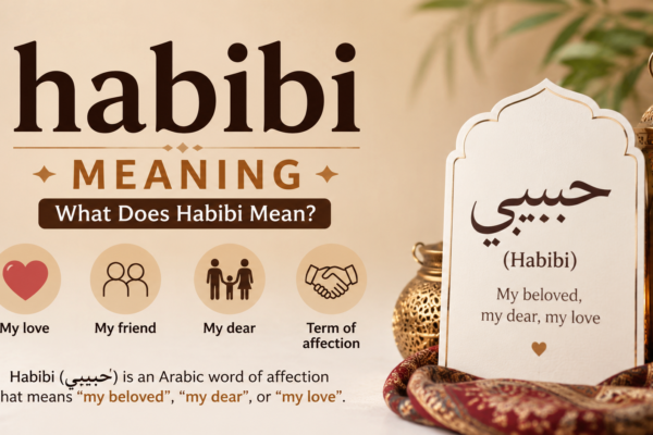 habibi meaning​